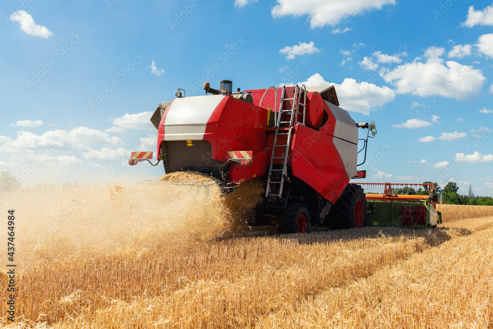 Obraz premium Scenic front view Big red powerful industrial combine harvester machine reaping golden ripe wheat cereal field on bright summer or autumn day. Agricultural yellow field machinery landscape background