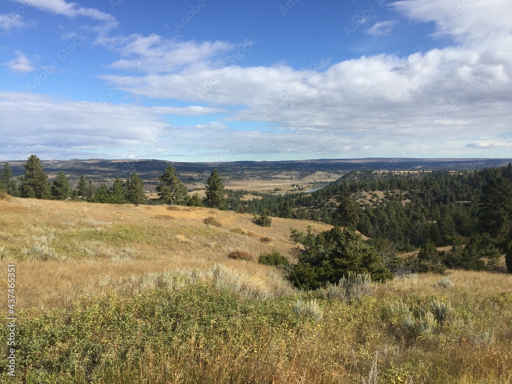 road trip landscape