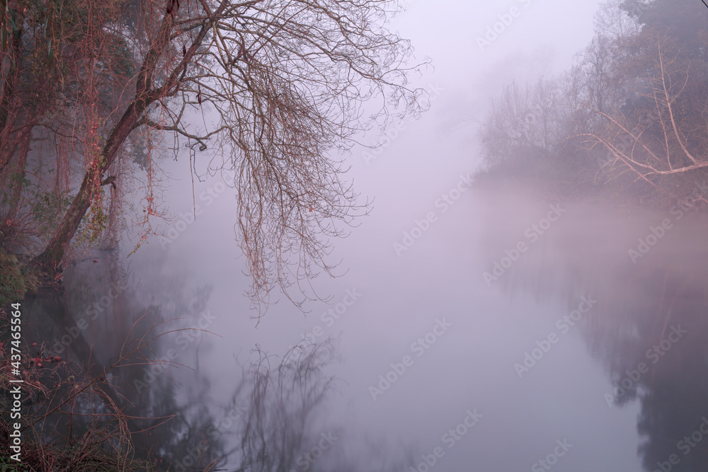 Fototapeta premium Misty river at dawn