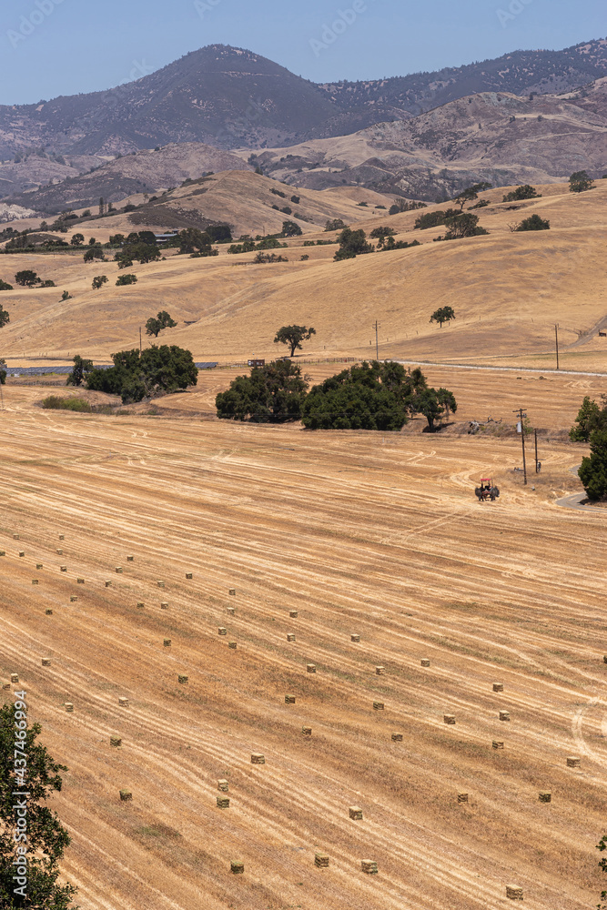 Obraz premium Santa Inez, CA, USA - May 26, 2021: San Lorenzo Seminary. Portrait shot over yellow dry valley field with freshly harvested hay bales. Some dark green trees and a tractor. Mountains on horizon.