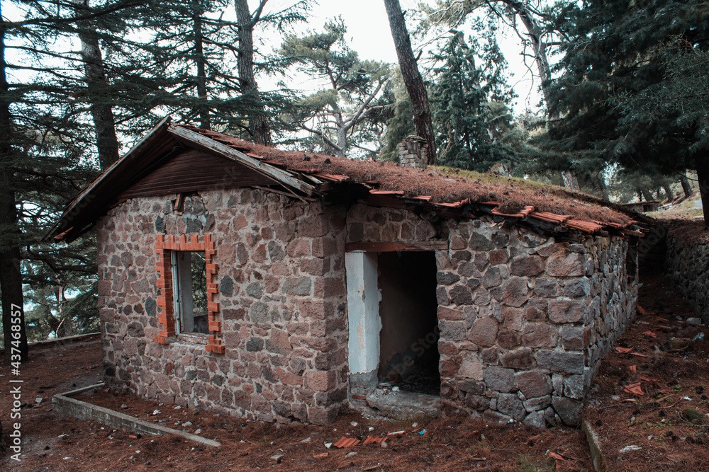 old house in the woods old house in the woods