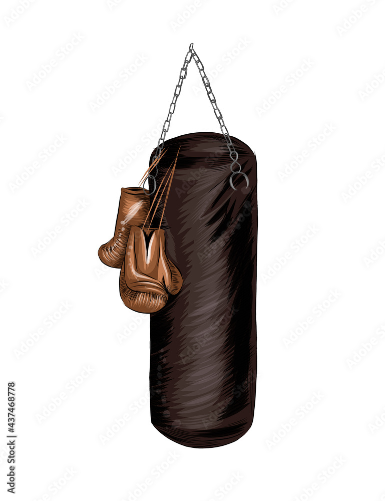 Boxing gloves and punching bag, colored drawing, realistic. Vector illustration of paints
