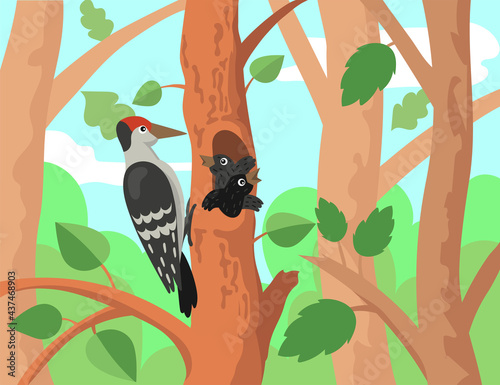 Woodpecker with chicks illustration in cartoon style. Cute forest birds on tree hollow, baby animals. Tree house in woods. Wildlife, nature concept for website or landing page