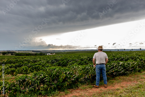 Middle-aged farmer analyzes the flowering of a coffee plantation background, in Brazil © AlfRibeiro
