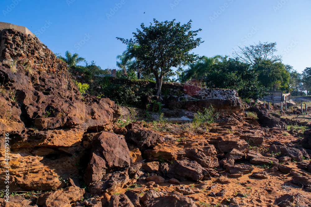 rocks and trees