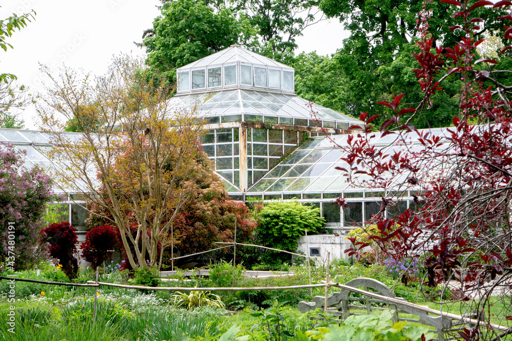 Landscape view of glass greenhouse in a park with bushes, trees, growing plants and flowers.
