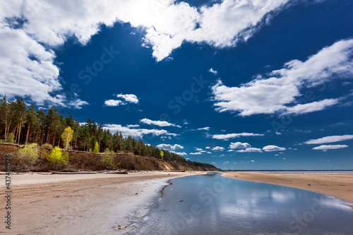 Ob River. Spring landscape