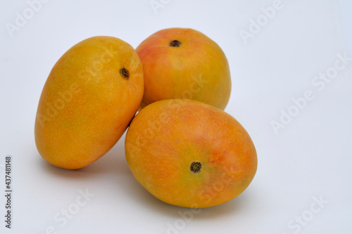 Three Indian Alphonso mangoes (mangifera indica) on a white background