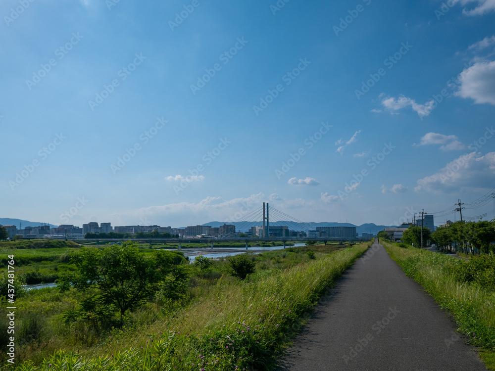 川辺の風景