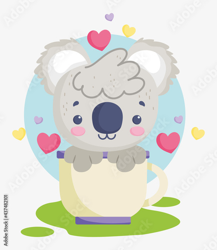 Photography koala in cup cartoon