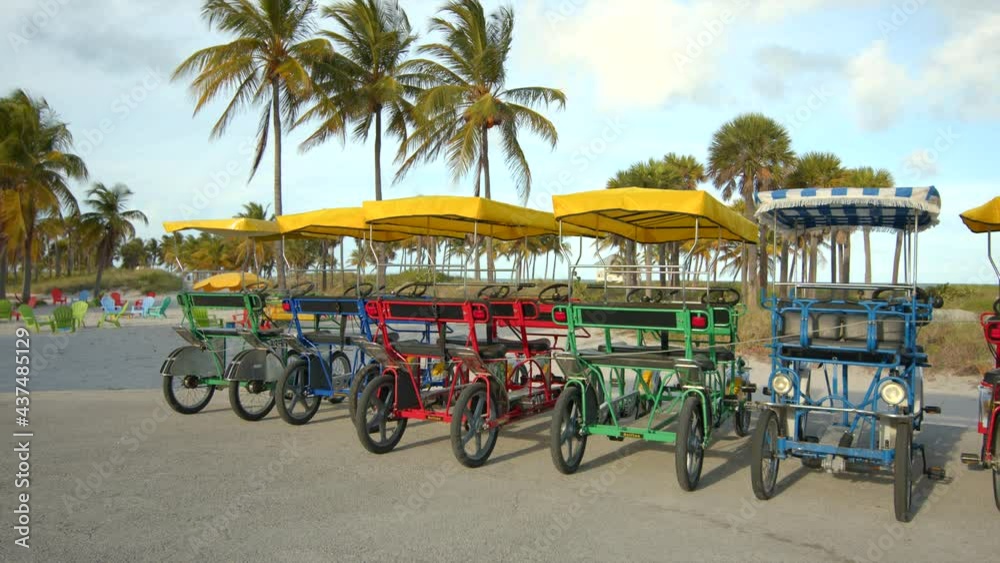 4 wheel surrey bike quadricycle still clip