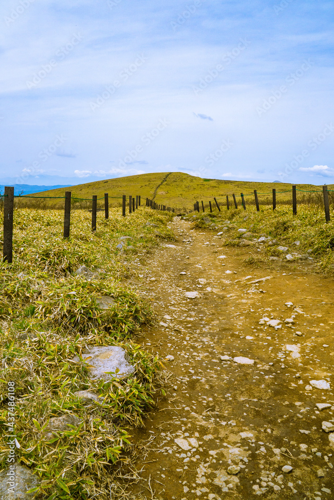 Fototapeta premium 霧ヶ峰を歩く 風景