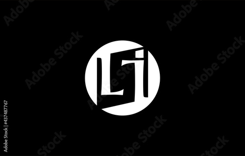 lsi logo photo