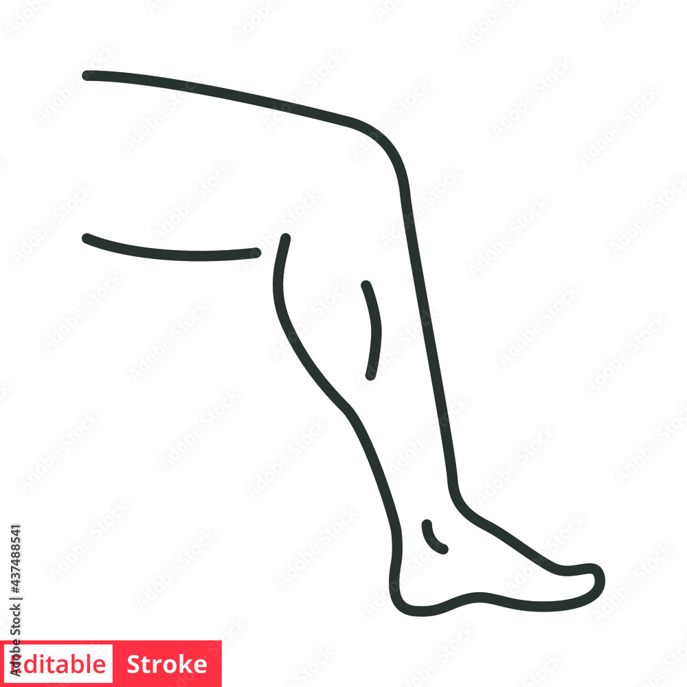 Leg line icon. Simple outline style. Knee, foot, medical, ankle, lady, female, care, feminine, elegant, beautiful concept. Vector illustration isolated on white background. Editable stroke EPS 10. Leg line icon. Simple outline style. Knee, foot, medical, ankle, lady, female, care, feminine, elegant, beautiful concept. Vector illustration isolated on white background. Editable stroke EPS 10.