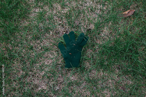 lost glove in the grass