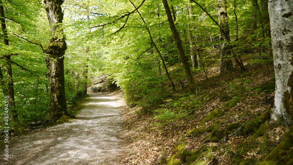 Obraz premium barrage dans le Limousin (France)