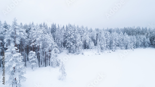 Aerial view of winter landscape. Panorama of the frozen lake in the middle of a forest. Winter wonderland.
