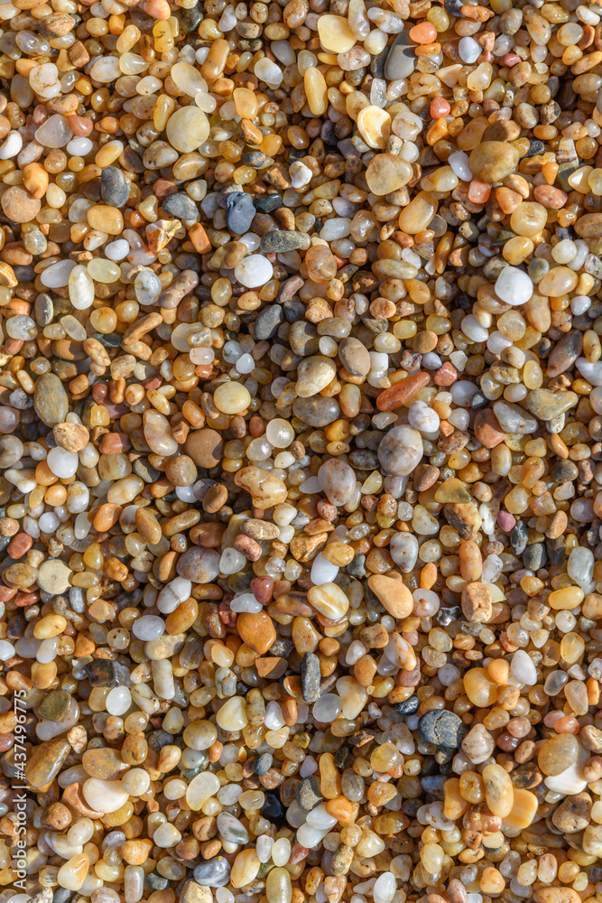 Detail of small pebbles on the beach.