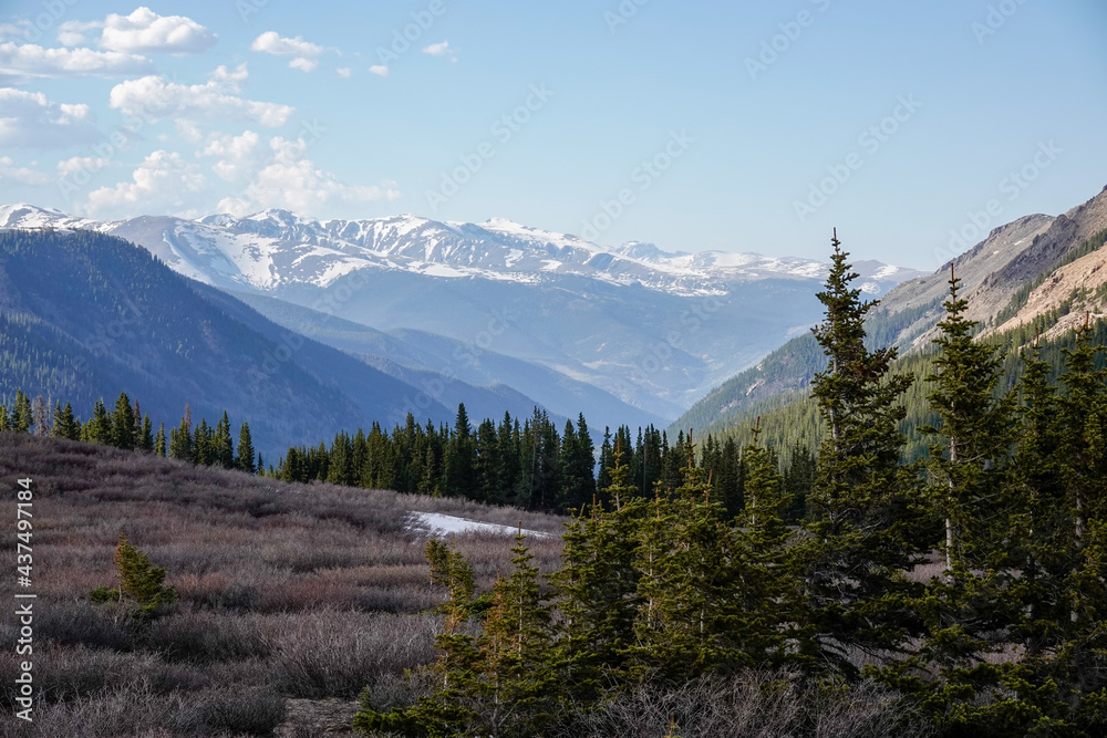 stunning view of mountains with pine trees in foreground