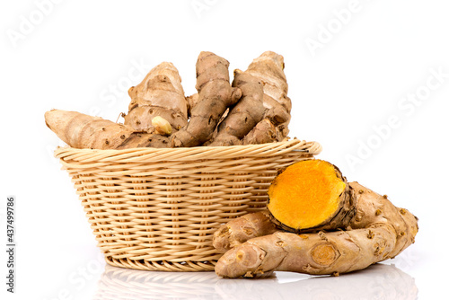 Curcuma zedoaria, rhizome isolated on white background. photo