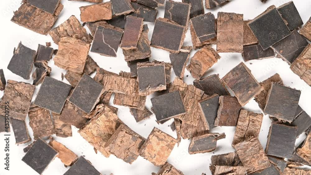 top view herb DuZhong or Eucommiae Cortex or Eucommia Bark rotating top view herb DuZhong or Eucommiae Cortex or Eucommia Bark rotating