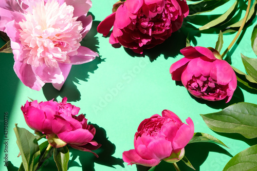Fototapeta Naklejka Na Ścianę i Meble -  Pink peonies and leaves with hard shadow on pastel background. Trendy pattern, summer concept.