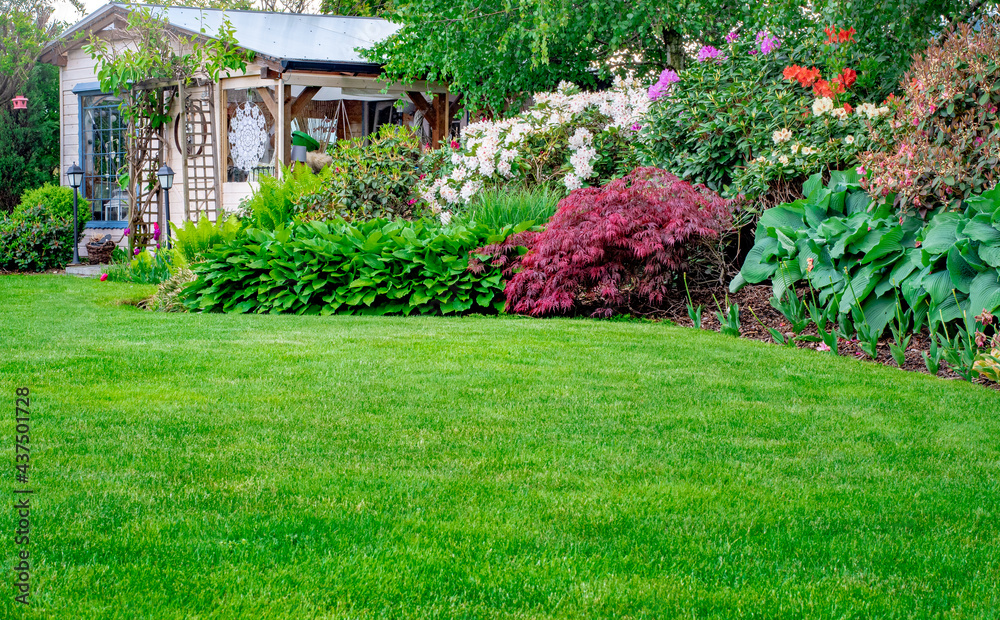 Obraz premium Piękny zadbany trawnik w ogrodzie