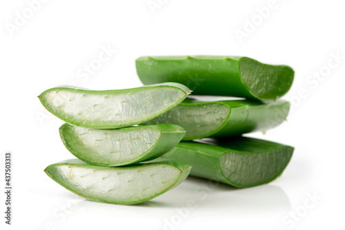 Aloe vera green leaves isolated on white background.