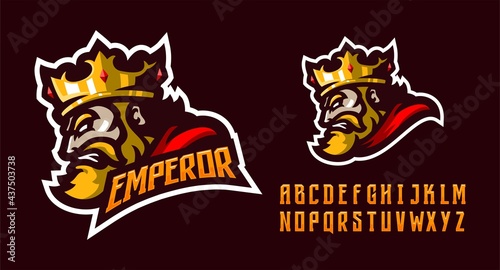 illustration vector graphic of King mascot logo perfect for sport and e-sport team