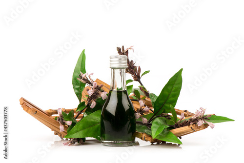 Justicia gendarussa flowers ,green leaves and oil isolated on white background.
