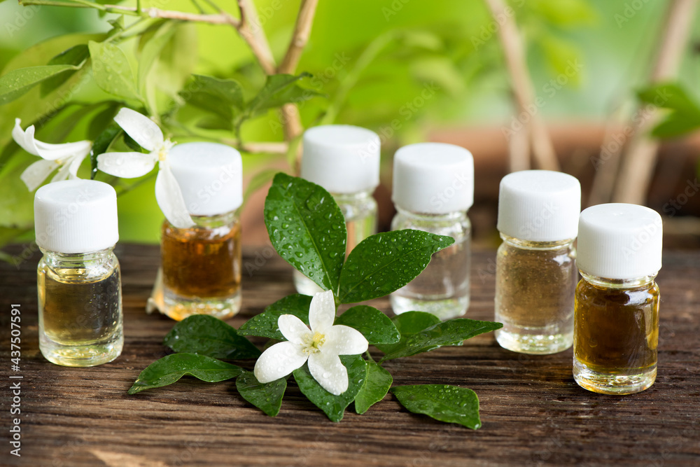 Andaman satinwood or murraya paniculata flowers and perfume on nature background.