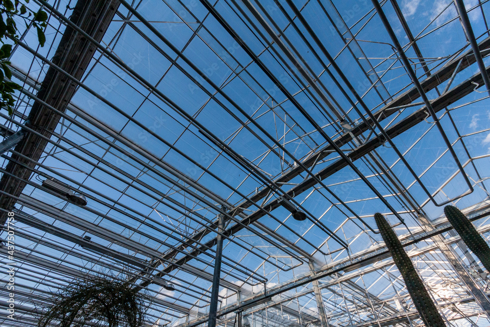 Botanical garden orangerie glass roof on a sunny day.