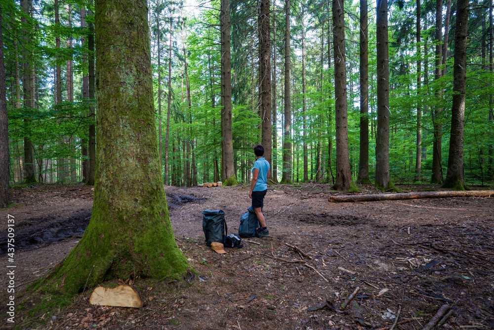Wandern im Schwarzwald 