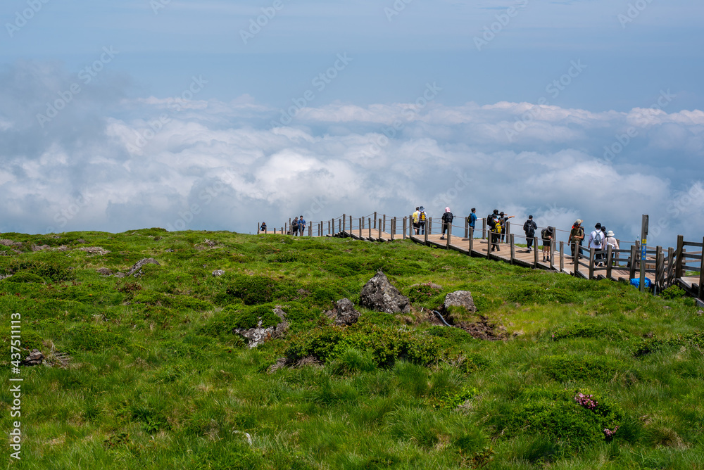 Climbing Mt. Halla is like walking on clouds.