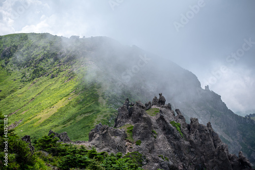 Climbing Mt. Halla is like walking on clouds. photo