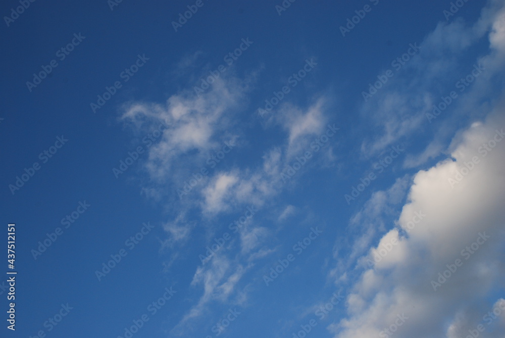 Cumulus white-gray clouds in the sky. On a light blue sky, clouds of different shapes and volumes float in height. The color of the clouds changes from white to gray.