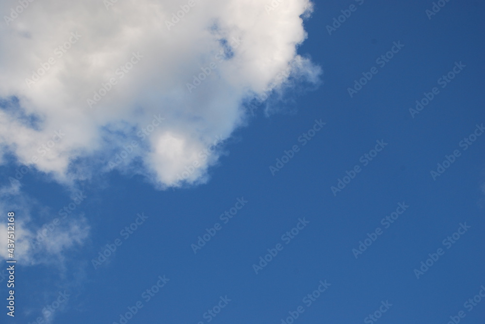 Fototapeta premium Cumulus white-gray clouds in the sky. On a light blue sky, clouds of different shapes and volumes float in height. The color of the clouds changes from white to gray.