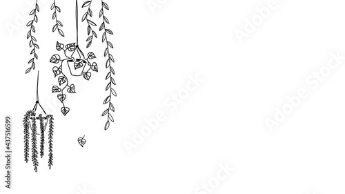 Black and white loop hand drawn style animation line art with plants in flowerpots falling leaf