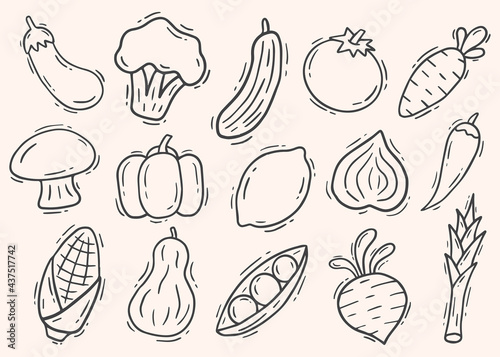 hand drawn doodle fruit and vegetable