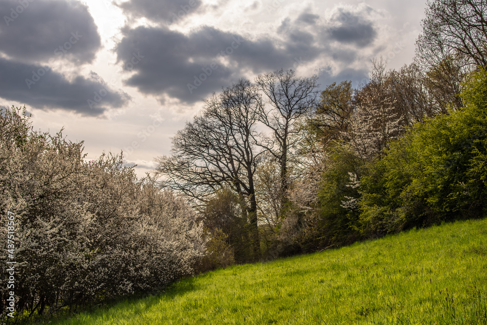 Country landscape in sunshine in Germany Country landscape in sunshine in Germany
