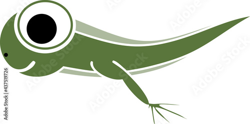 Cartoon frog tadpole with legs isolated on white background