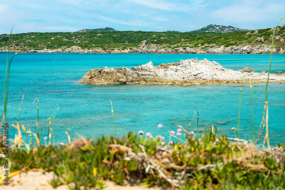 (Selective focus) Stunning view of a coastline bathed by a turquoise, clear sea. Rena Majore is a small seaside village that's located south of Santa Teresa Gallura, Sardinia, Italy.