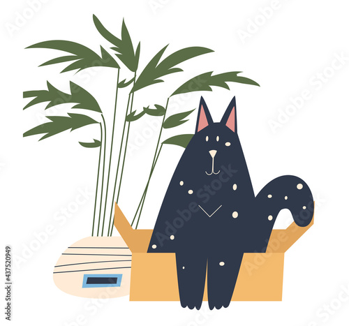 A big black cat sits in a big box. Fluffy plant in a round pot. Vector flat isolated illustration.