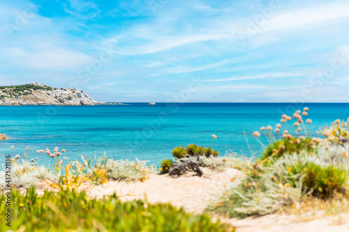  Focus in the Background  Stunning view of a blurred coastline bathed by a turquoise  clear sea. Rena Majore is a small seaside village that s located south of Santa Teresa Gallura  Sardinia  Italy.