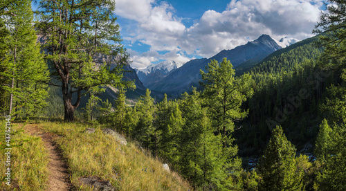 Fototapeta Naklejka Na Ścianę i Meble -  A picturesque valley in the Altai Mountains overgrown with forest