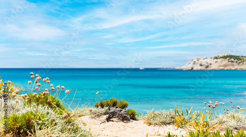 (Focus in the foreground) Stunning view of a coastline bathed by a blurred turquoise, clear sea. Rena Majore is a small seaside village that's located south of Santa Teresa Gallura, Sardinia, Italy.