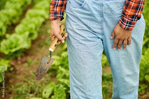 Crop grower with gardening trowel on plantation in countryside