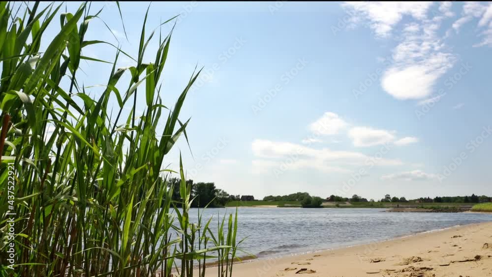 Elbe mit Sandstrand und Düne bei Geesthacht - Elbstrand im Sommer