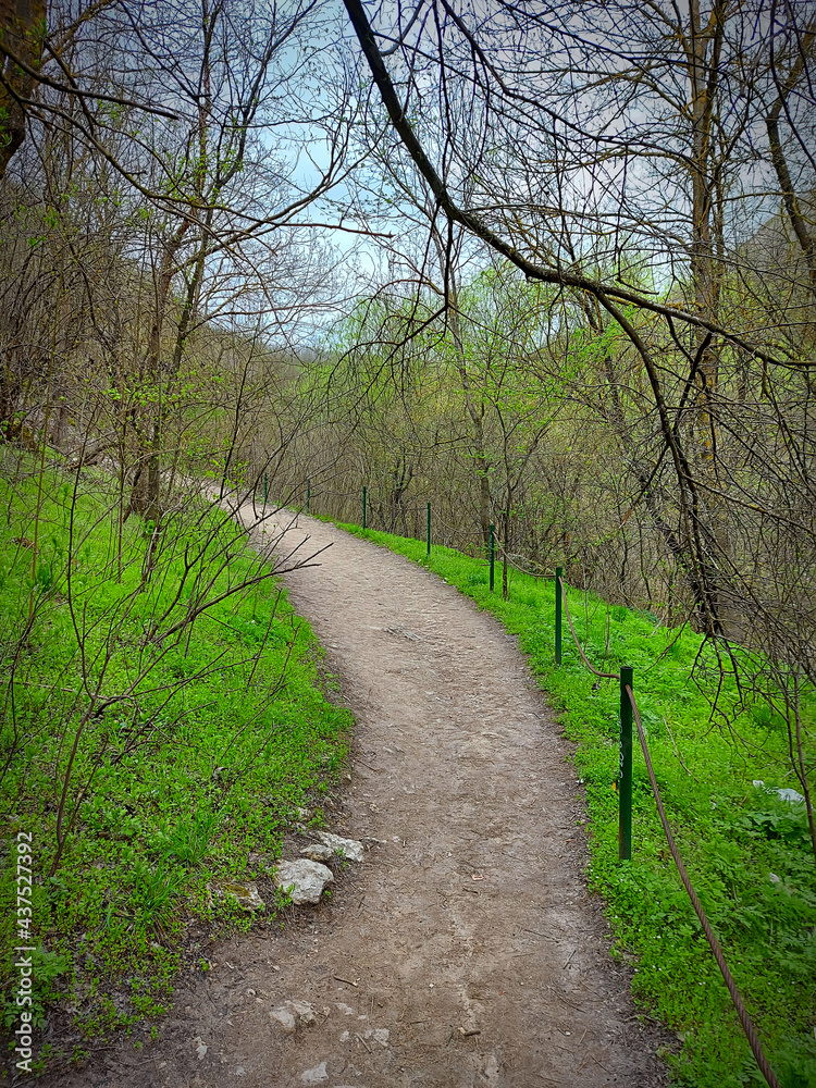 Mountain winding path through the forest. Earth covered with green grass and budding trees. Alone in the middle of nature. Beautiful spring landscape.
