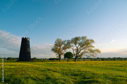 Black Mill with leafless trees and wild flowers in spring Beverley, UK.